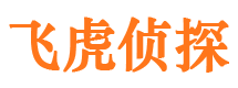 庆阳市侦探公司